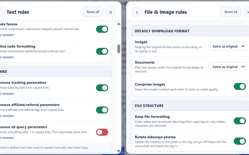 Clean Copy text rules beside file and image cleaning rules